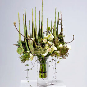 Frédéric Dupré Bouquet