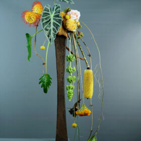 Form Linear Work by Mark Pampling