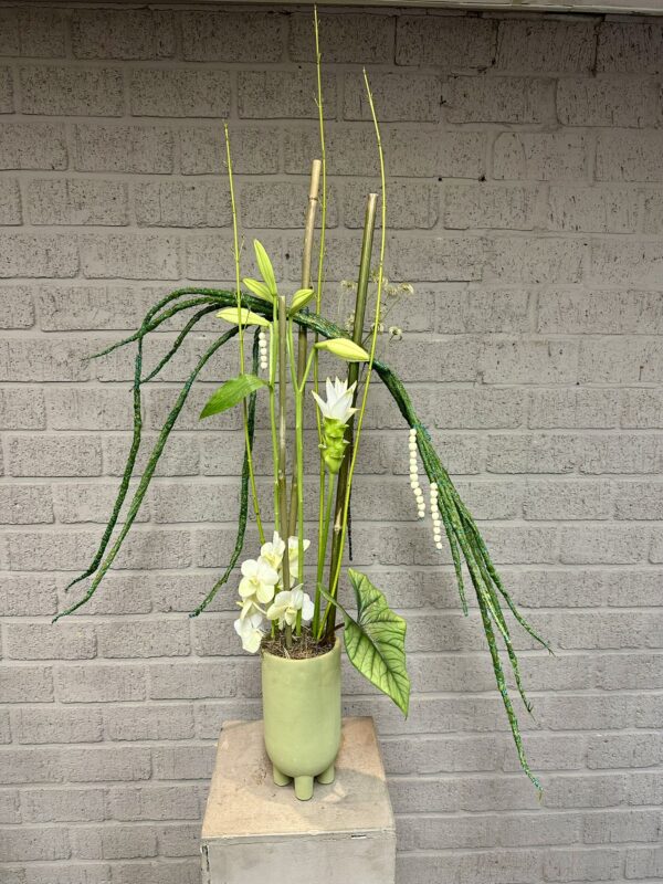 Image #2 from Liesbeth Zaat